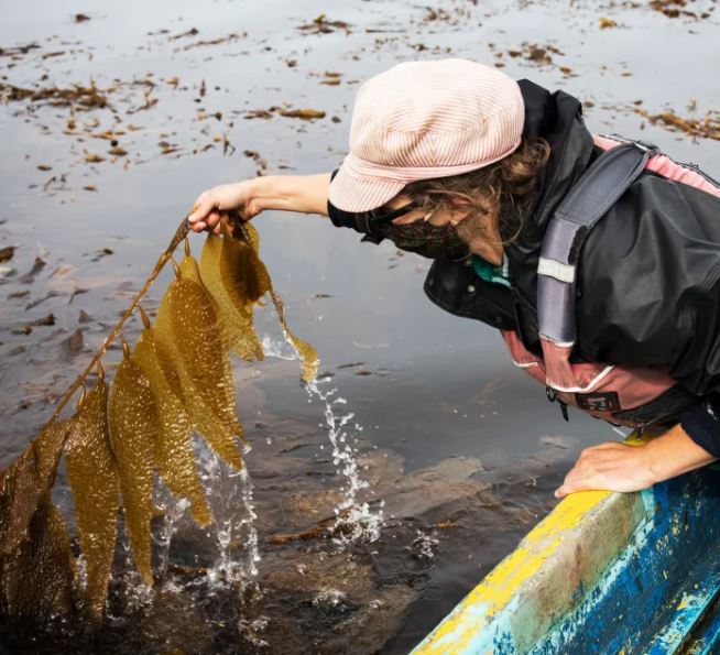 Amy McConnell joins XPRIZE Carbon Removal team