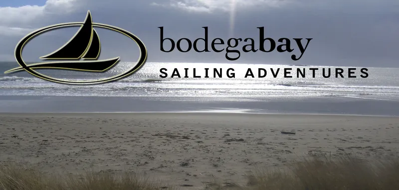 Bodega Bay Sailing has made the Pull To Refresh Pledge